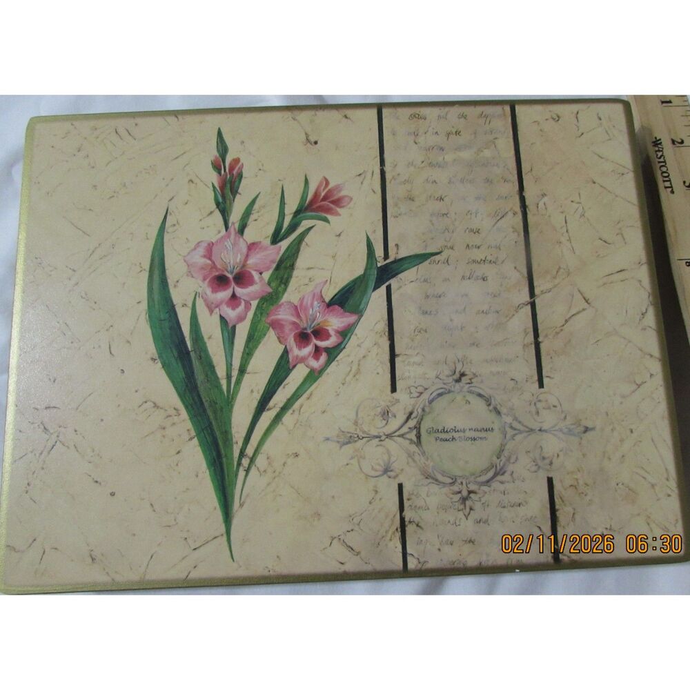 Vintage Pimpernel placemats set of 6 cork backing floral gladiolus spring